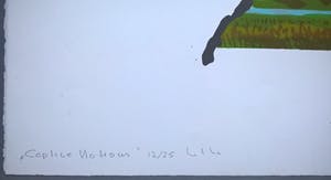 Busse Weidema - gesigneerde litho - Captive Notious kopen? Bied vanaf 55!