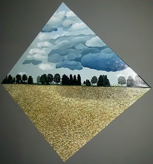 Erna van Mondfrans - Landschap met karweizaad, olieverf op doek (groot) kopen? Bied vanaf 275!