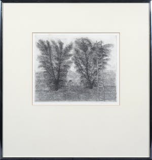 Charles Donker - Ets, Uiltje op muur - Ingelijst kopen? Bied vanaf 150!