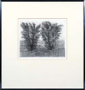 Charles Donker - Ets, Uiltje op muur - Ingelijst verkocht voor € 150!