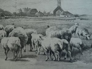 Maarten Langbroek - Ingelijste ets, Voorjaar op Texel – ca. 1970 kopen? Bied vanaf 35!