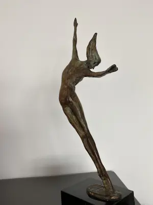 Corry Ammerlaan - Vreugdedans kopen? Bied vanaf 119!