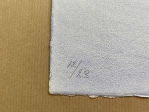 Klaas Gubbels - De groene alles kan kopen? Bied vanaf 345!