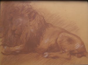 Arthur Beckand - Leeuw kopen? Bied vanaf 75!