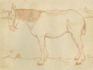 Jan Mankes - Paard kopen? Bied vanaf 1!