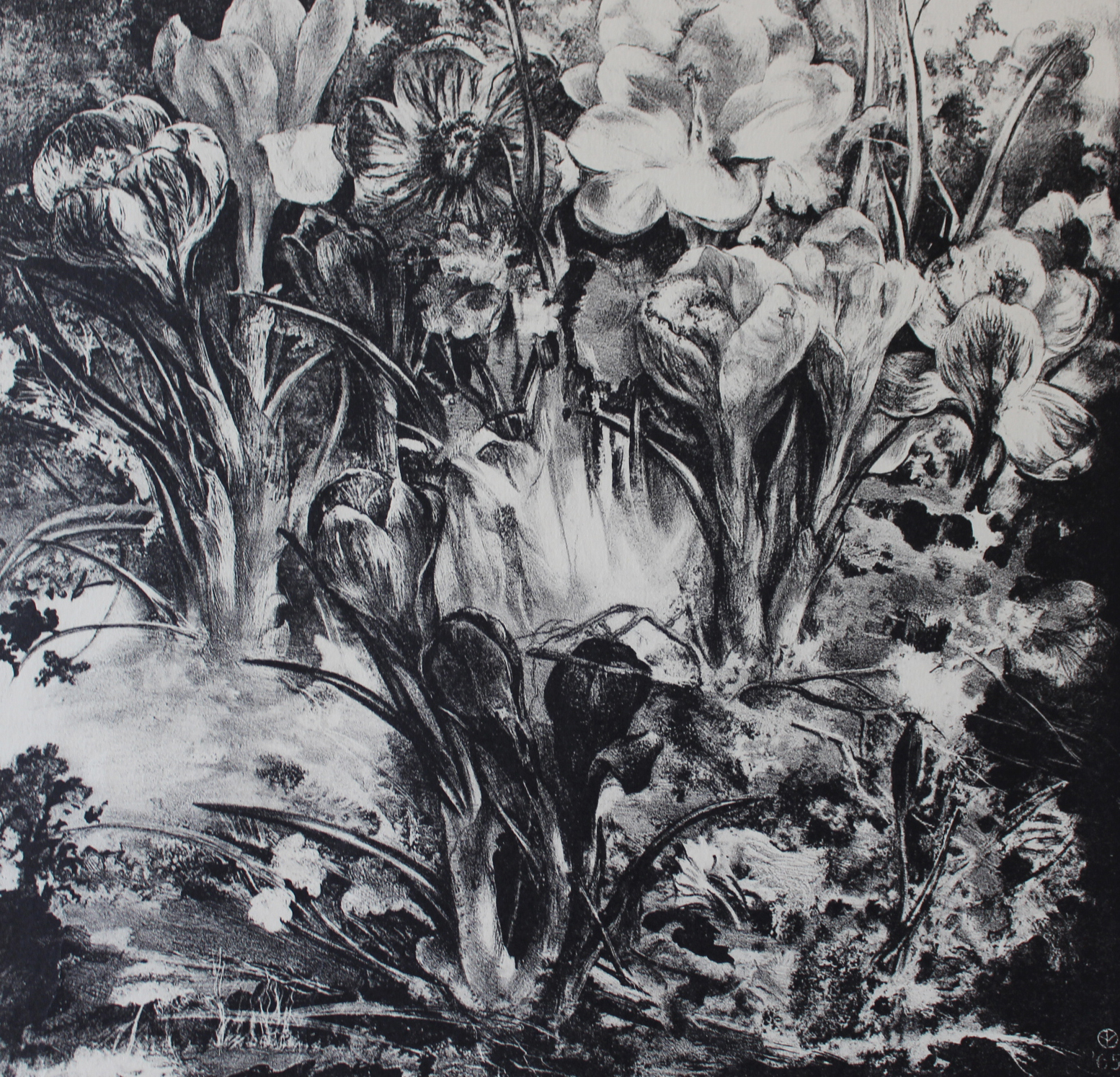 Aart van Dobbenburgh - Z.t. (crocussen) kopen? Bied vanaf 55!