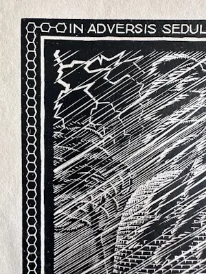 Maurits Cornelis Escher - Bijenkorf kopen? Bied vanaf 1200!