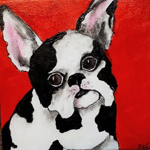 Anke Peddemors - bullie kopen? Bied vanaf 17!