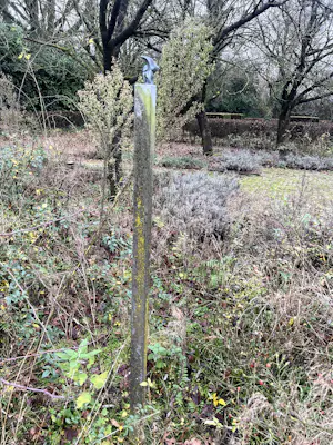 John Spek - zeer vrolijk beeld van twee bronzen vogels op een hoge dunne sokkel van steen kopen? Bied vanaf 400!