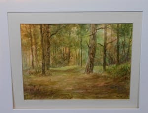 Ton Pape - 4 x landschap kopen? Bied vanaf 75!