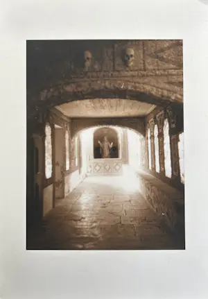 Betsy Green - Veniti Digni kopen? Bied vanaf 23!