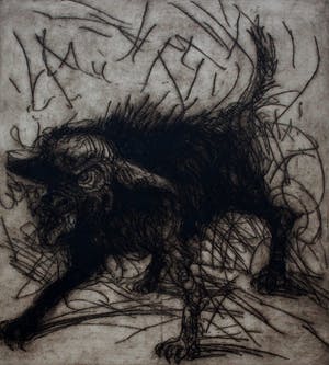 Ronald Tolman - grote ets/aquatint: Studie van een hond - 1980(zeldzaam, klein oplage van 7 !) kopen? Bied vanaf 250!