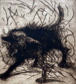 Ronald Tolman - grote ets/aquatint: Studie van een hond - 1980(zeldzaam, klein oplage van 7 !) verkocht voor € 250!