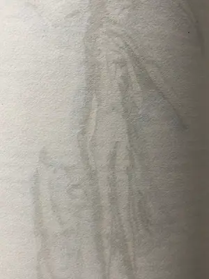 Kees van Dongen - Vrouw met hond kopen? Bied vanaf 275!