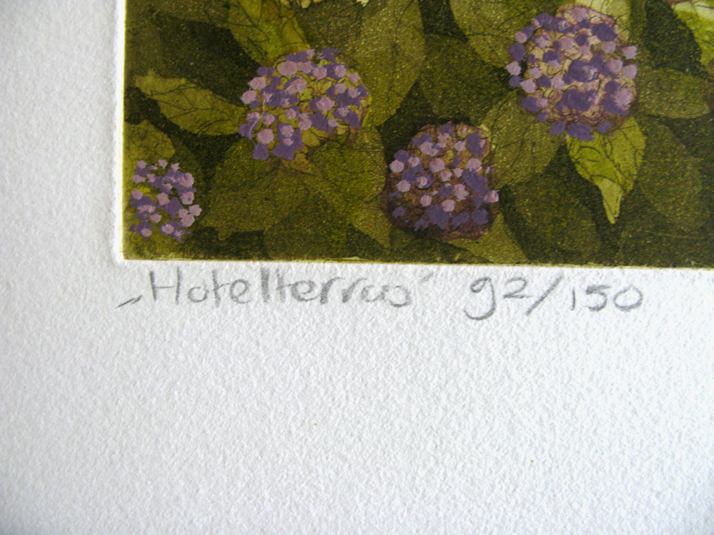 Laetitia de Haas - HOTELTERRAS - kleurets kopen? Bied vanaf 15!