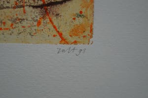 Marian Zult - sunset kopen? Bied vanaf 20!