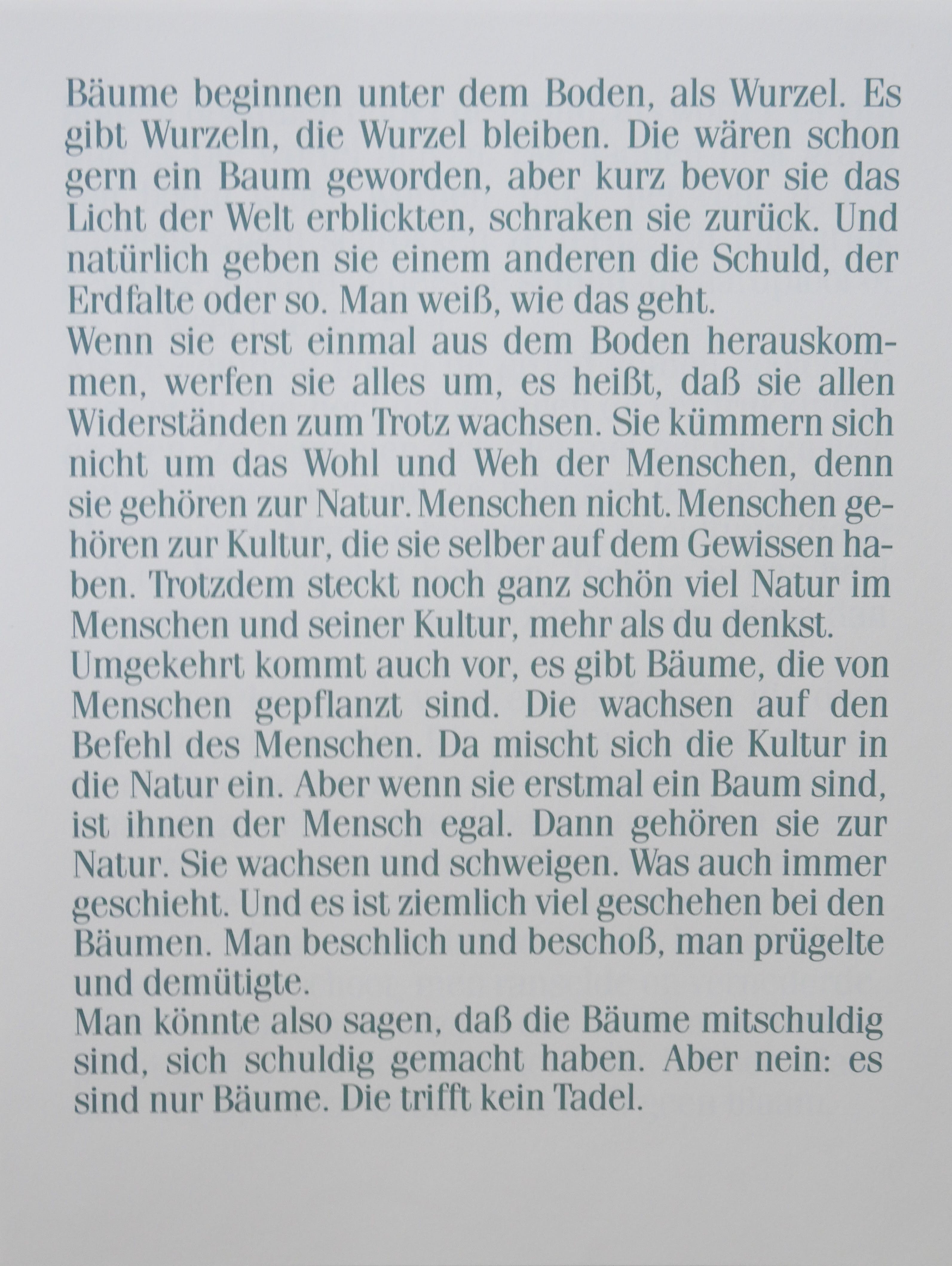 Armando - Der Baum kopen? Bied vanaf 100!