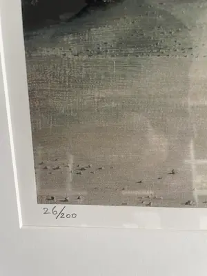 Carel Willink - mooie grote zeefdruk kopen? Bied vanaf 345!