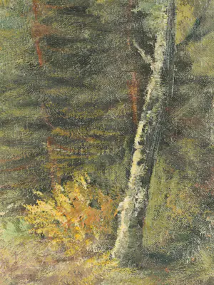 Kees van Ameijden - Boslandschap kopen? Bied vanaf 40!