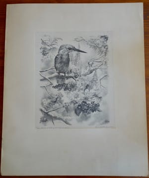 AcheterAart van Dobbenburgh - Litho van IJsvogel op tak met bloemen? Enchérissez de 50!