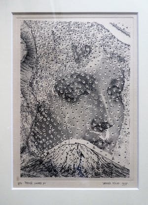 Harald Vlugt - Rattle Snake kopen? Bied vanaf 45!