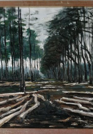 Anneke Boot - Veluwe, na de storm bij het Uddelermeer kopen? Bied vanaf 130!