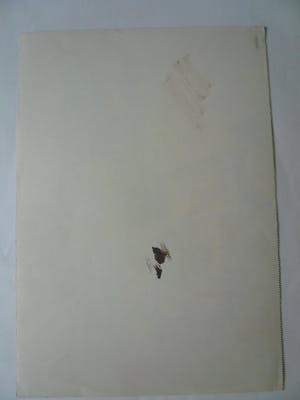 Gerard Bergman - Palermo St. Cataldo kopen? Bied vanaf 20!