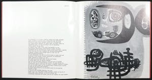 Anton Rooskens - Litho en tentoonstellingscatalogus, Galerie Delta, Rotterdam kopen? Bied vanaf 70!