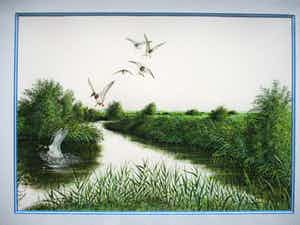 Ari Stolk - Invallende wilde eenden verkocht voor € 75!