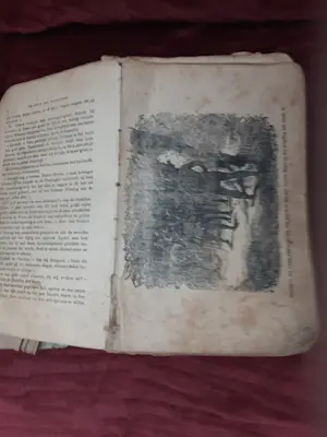 Antiquarisch Boek - De leeuw van Vlaanderen kopen? Bied vanaf 30!