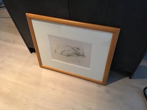 Curiosa - Schilderij Van Hove kopen? Bied vanaf 50!
