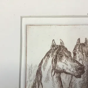 Noël Matthijs - 4 paarden kopen? Bied vanaf 1!