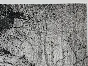 Reinder Homan - Wilgenbos kopen? Bied vanaf 50!