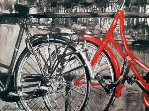 Elena Polyakova - Red bike in Amsterdam kopen? Bied vanaf 45!