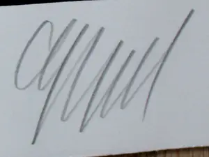 Karel Appel - Grote kleurenzeefdruk: Floating flower passion - 1978 kopen? Bied vanaf 1!