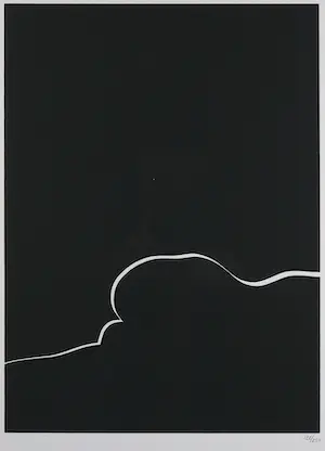 Harry van Kuyk - Zeefdruk uit het portfolio Grafinu - Ingelijst kopen? Bied vanaf 1!