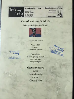 Herman Brood - Little Richard (incl certificaat) kopen? Bied vanaf 595!