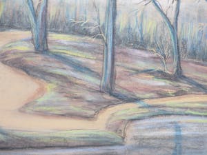 Romke faber - Bosgezicht bij vijver - Pastel kopen? Bied vanaf 70!