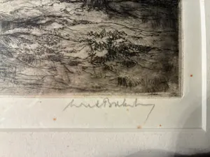 Dirk Baksteen - overstroming kopen? Bied vanaf 120!