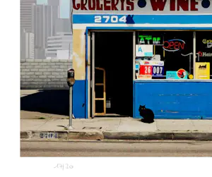 Mr. Strange - At Dave's kopen? Bied vanaf 85!