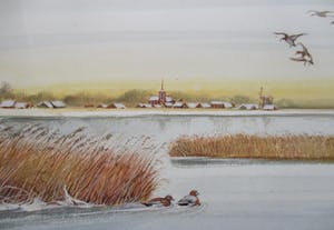 Ari Stolk - Invallende eenden met dorpje kopen? Bied vanaf 30!