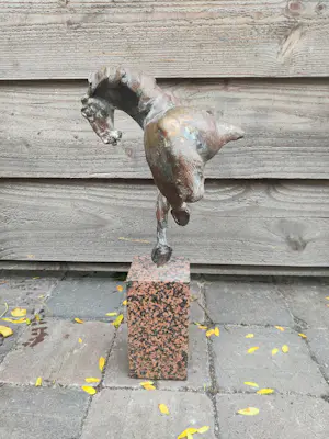 Jos Dirix - Camarqua kopen? Bied vanaf 1200!