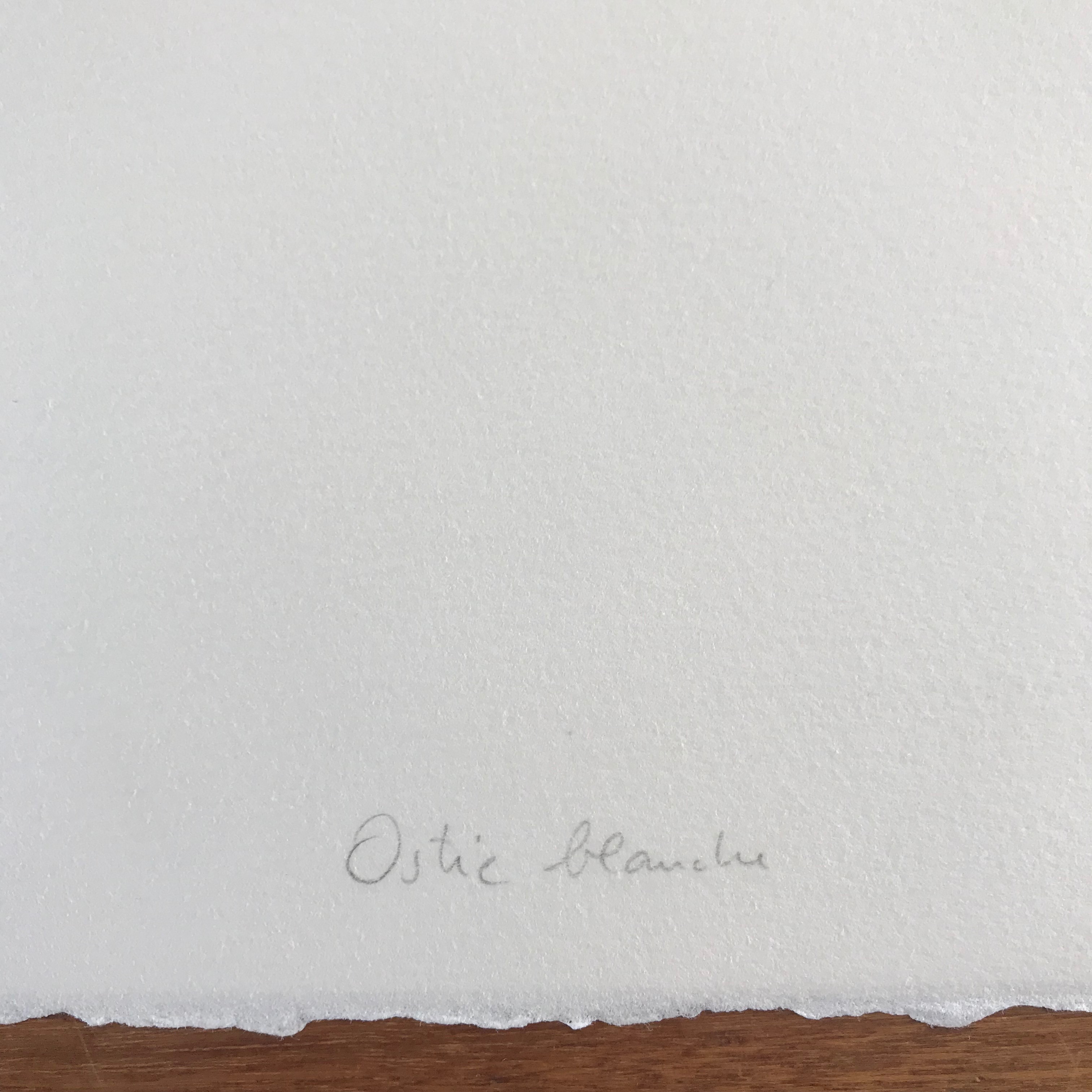 Joanet Gardy-Artigas - 'Ostie Blanche' - HC - Gesigneerde Lithografie kopen? Bied vanaf 45!