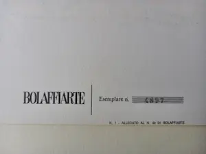 Alexander Calder - Lettera Z Photolithographie 1974 Bolaffi Arte signiert, gerahmt kopen? Bied vanaf 149!
