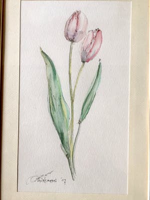 Aart van Woensel - Tulpen - Aquarel, Ingelijst kopen? Bied vanaf 25!