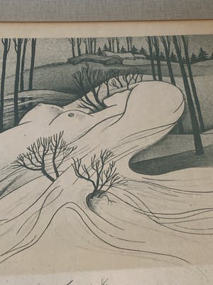 Oscar Hector Bonnevalle - Winter in Flander - the hidden woman kopen? Bied vanaf 1!