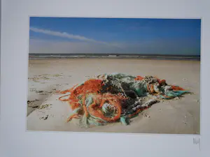 Martin Kers - kleurenreprodukties kopen? Bied vanaf 60!