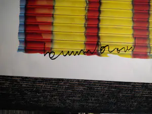 Herman Brood - wasvrouw kopen? Bied vanaf 125!