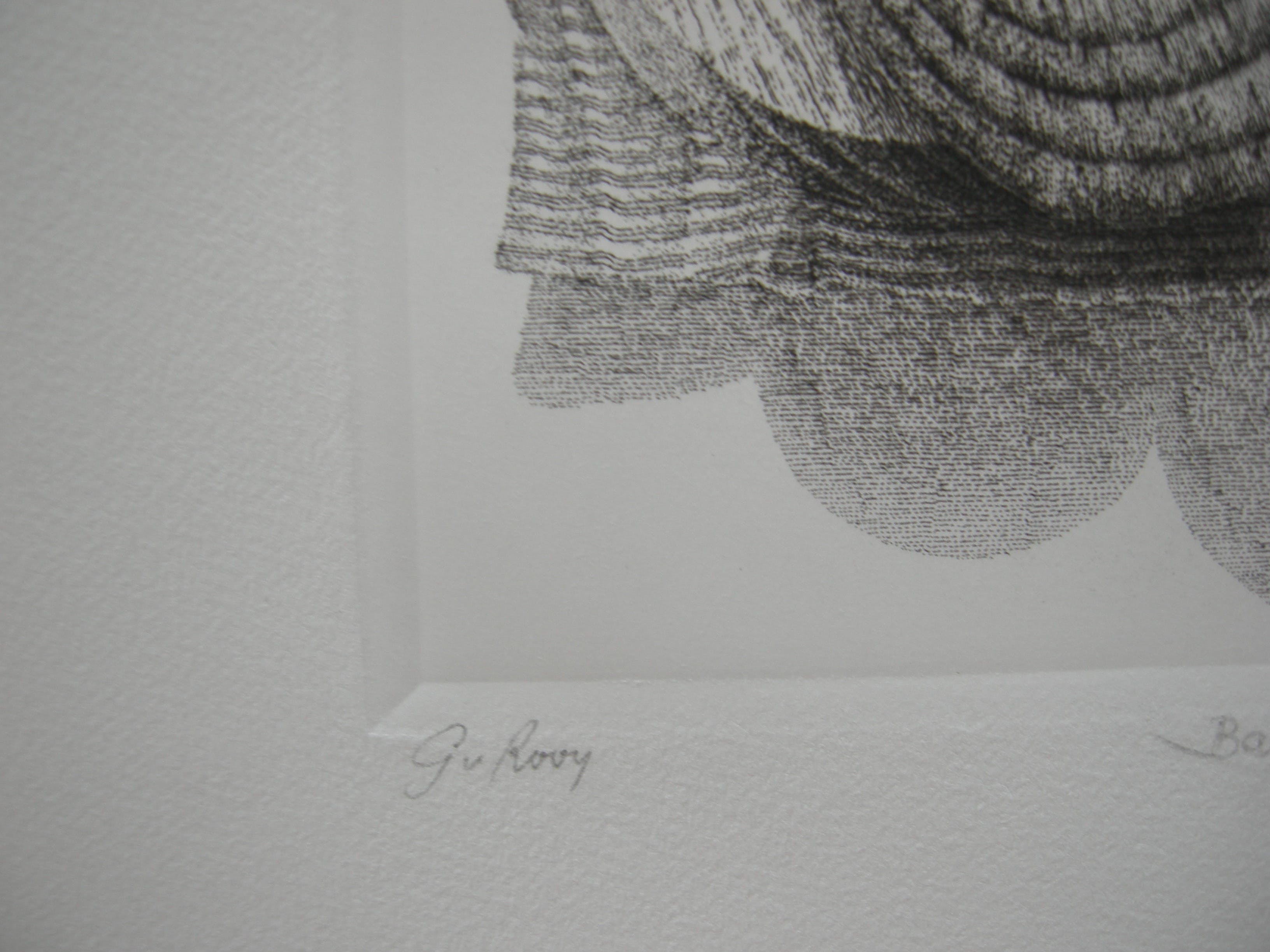 Gerard van Rooy - "Ballen" kopen? Bied vanaf 30!