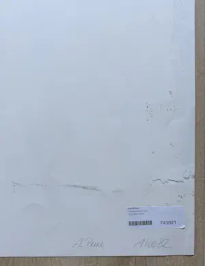 Aart Prins - “Landschap achter glas” kopen? Bied vanaf 20!